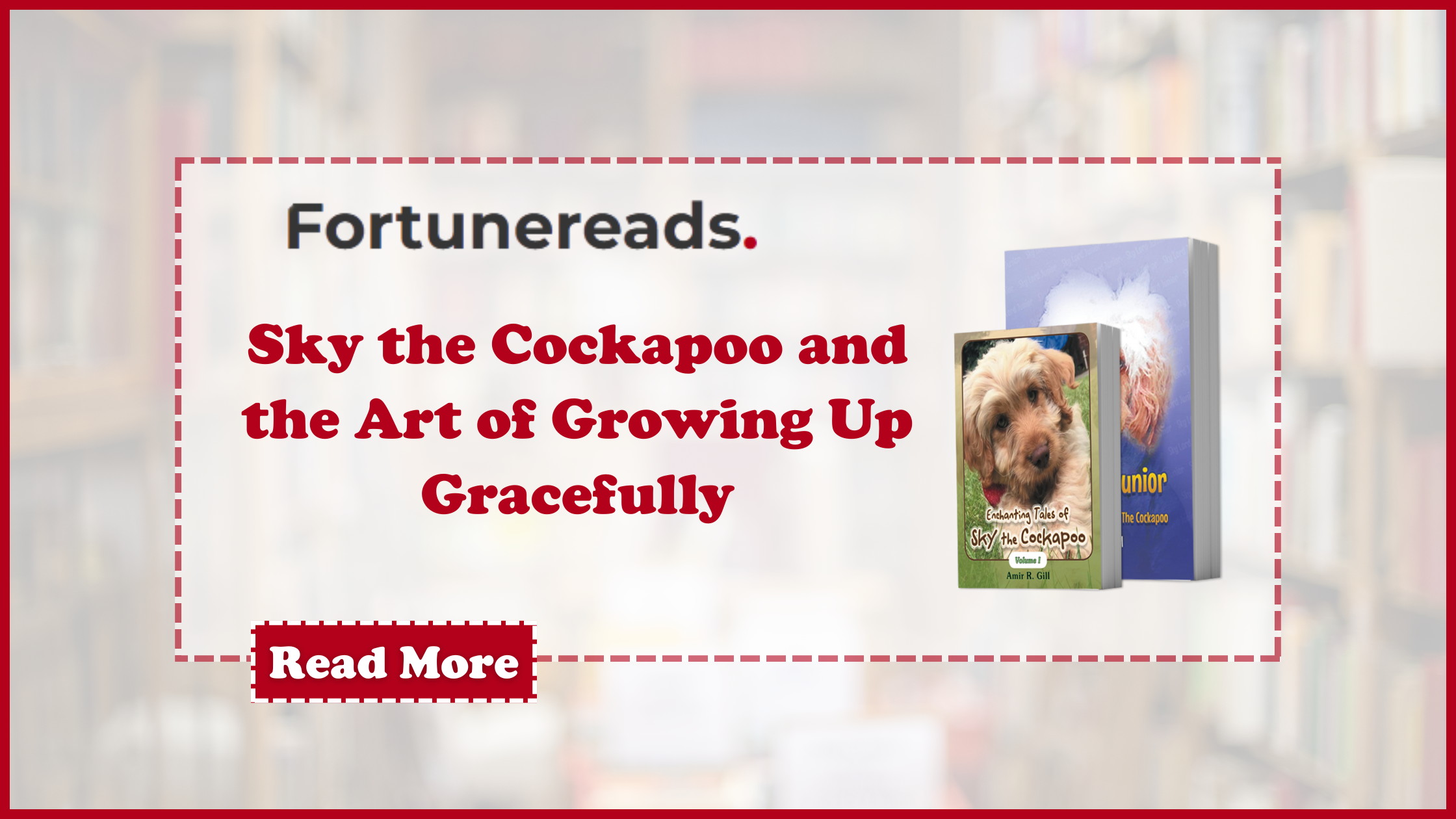 Amir gill blog banner